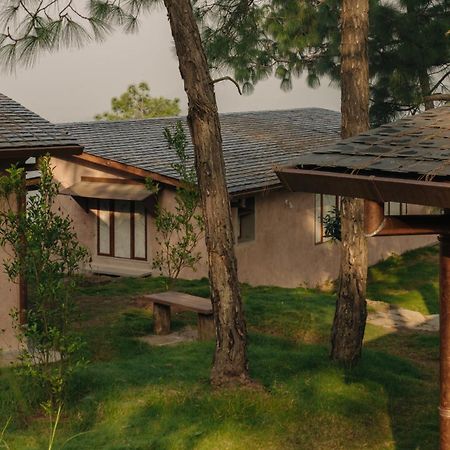 Amaya Kasauli Buitenkant foto