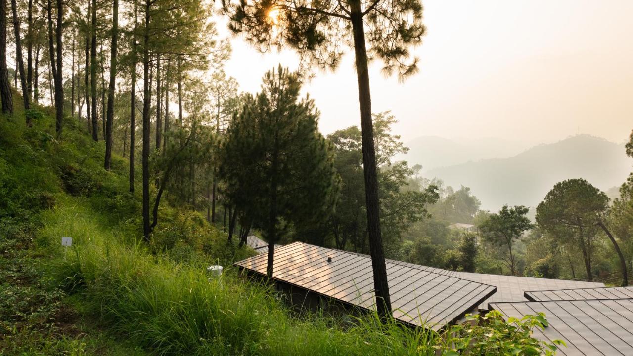 Amaya Kasauli Buitenkant foto