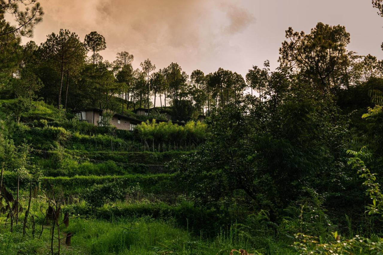Amaya Kasauli Buitenkant foto