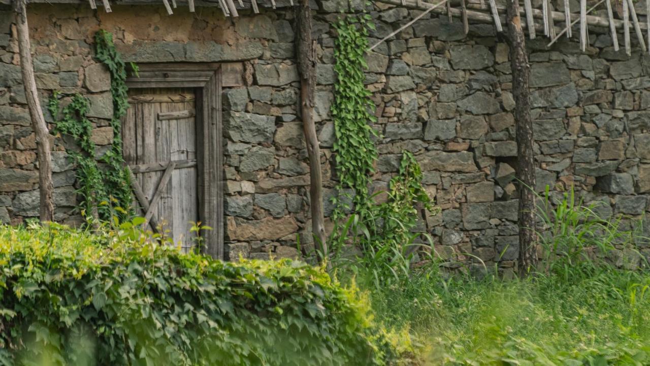 Amaya Kasauli Buitenkant foto