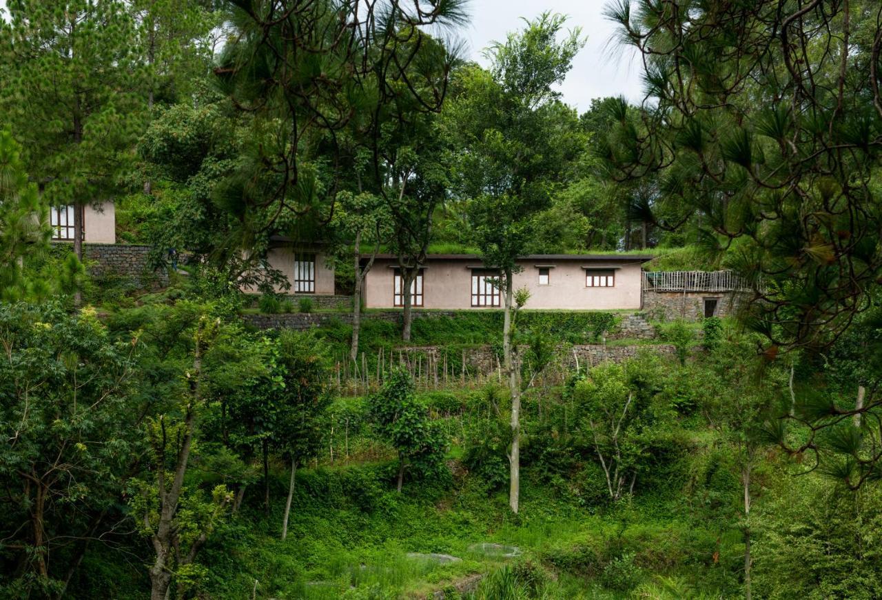 Amaya Kasauli Buitenkant foto