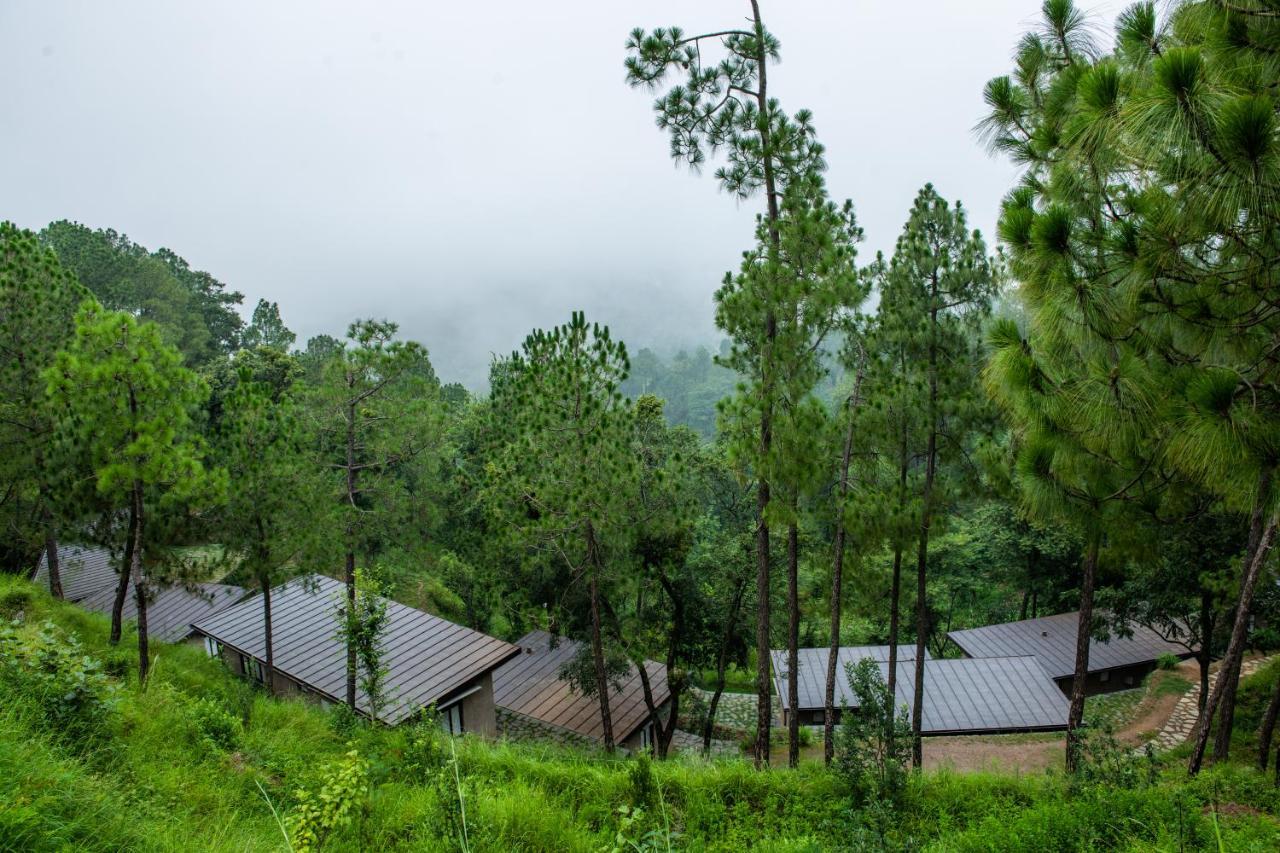 Amaya Kasauli Buitenkant foto
